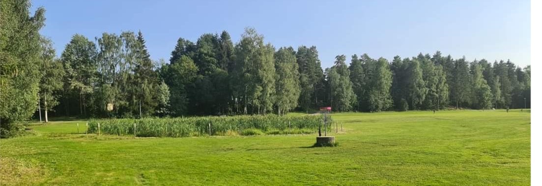 Ukesgolf